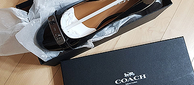 코치 플랫과 로퍼