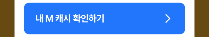 내 캐시 확인